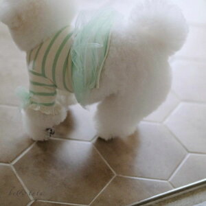 \̔yBeBe Breathzbe & tutuiMintj ؍ uh 킢  v[g ^ s[X hX NEW t  H