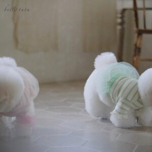 ※予約販売【BeBe Breath】be & tutu(Mint) 韓国 ブランド かわいい おしゃれ プレゼント 小型犬 ワンピース ドレス NEW 春 夏 秋