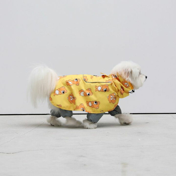 楽天市場】即納【andblank】Joy Bear Raincoat Jacket 犬用品 ドッグ 