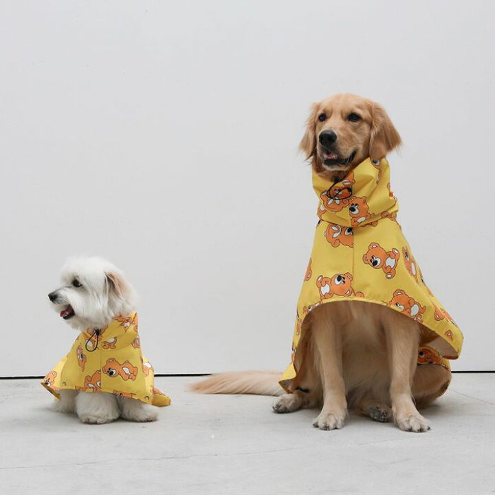 楽天市場】即納【andblank】Joy Bear Raincoat Jacket 犬用品 ドッグ 