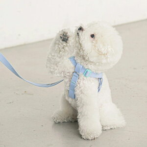 [yBITE MEzCandy Crayon Harness ؍ pi hbOObY n[lX hbOn[lX n[lX pn[lX y v Upi