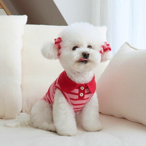 [yDURANG RURANGzBubble Gum Polo SleevelessiCherry Pinkj  hbOEFA ̕ X[uX pi hbOObY ؍ ^ ^ 