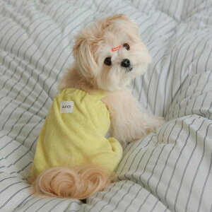 [yOUNCEzterry all in oneiLimej ؍ pi hbOObY TVc X[uX hbOEFA  ̕ ^ ^