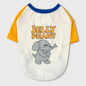 [yandblankzIconic Color Block T-ShirtiJelly Phantj  hbOEFA TVc X[uX ^ ^ ^ ^ ^ ^
