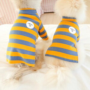 [ynouttiznoussi border T-shirtiCG[×u[j ؍ uh 킢  v[g ^ LN^[ NEW t  H 