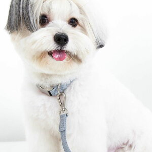 \̔yforeverybarizClassic Pet CollariIce Grayj ؍ pi hbOObY  ̎ hbOJ[  p y v