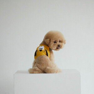 [yDAzDisney Character Crop Sleevelessiplutoj ؍ uh 킢  v[g ^ LN^[ fBYj[ disney NEW t  H