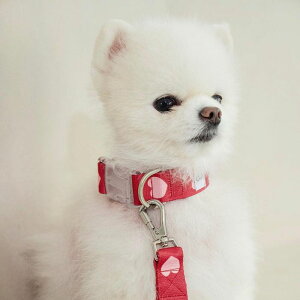 ���[�yOUNCE�zheart bongbong collar�iRed�j �؍� ���p�i �h�b�O�O�b�Y ��� �h�b�O�J���[ ���̎�� ����֏��^�� ����� ���p��� ���[�h