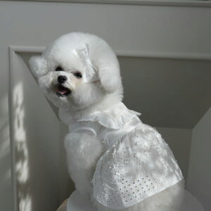 \̔yHi YeboozWhite Special Collection Lace One PieceizCgj ؍ uh 킢  v[g ^ s[X hX NEW t  H 