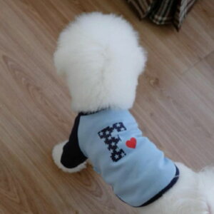 \̔yFREDDIE TALEzF logo raglan tee(blue)  hbOEFA ̕ ^ ^ TVc X[uX pi hbOObY ؍