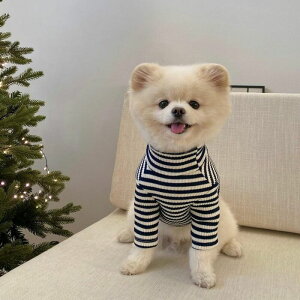 [yBonjour TOU-TOU×The bambizMerry turtle neck knitiNavyj  hbOEFA ̕ ^ ^ pi hbOObY ~ ~ h
