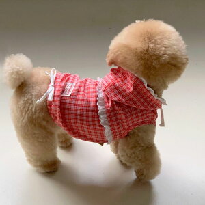 ���\��̔��yDURANG RURANG�zAiry Cotton Hooded Shirt�iCoral Red�j ���� �h�b�O�E�F�A ���̕� ���^�� ���^���� ���p�i �h�b�O�O�b�Y �؍� �t �t��