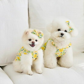 ※予約販売【noutti】pomg pong flower camisole（Yellow） 韓国 ブランド かわいい おしゃれ プレゼント 小型犬 NEW 春 夏