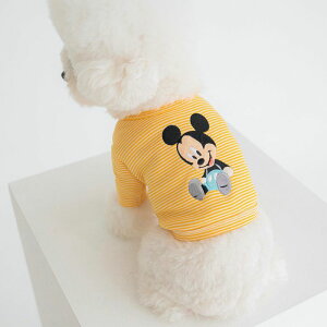 [yDAzdisney friends baby border cargiani~bL[j ؍ uh 킢  v[g ^ LN^[ ~bL[ fBYj[ disney NEW t  H ~