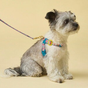 \̔yiCANDORzNo-Pull HarnessiEDINBURGH CHECKj pi hbOObY n[lX hbOn[lX n[lX^ n[lX pn[lX ؍ Upi UObY