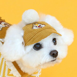\̔yITS DOGzDisney chip'n dale corduroy hat(Mustard) "ITS DOG Disney chipn dale corduroy hat Mustard ؍ pi hbOObY hbOEFA 
