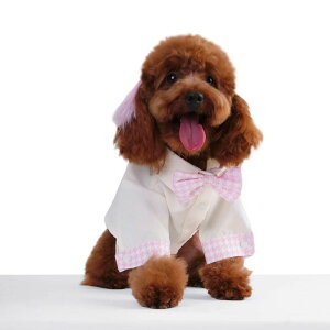[yMOSHIQAzMilky Dog Shirt AJ pi hbOObY TVc X[uX hbOEFA  ̕ ^ ^