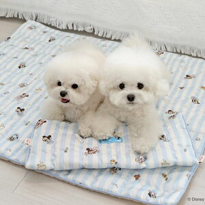 \̔yITS DOGzDisney Rayon Cooling MatiFriends Bluej ؍ pi hbOObY }bg }bg ybgp}bg ybg}bg p}bg fBYj[ disney