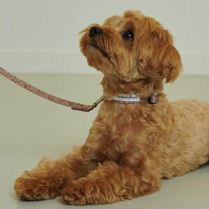 \̔yforeverybarizMarble Heart Pet CollariChocolatej ؍ pi hbOObY  ̎ hbOJ[  p ^ ^