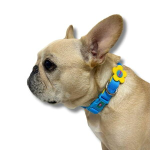\̔yTOOFzFLOWER LOGO NECK COLLARiBLUE/YELLOWj  hbOEFA  ̕ ^ ^ pi hbOObY ؍ [h