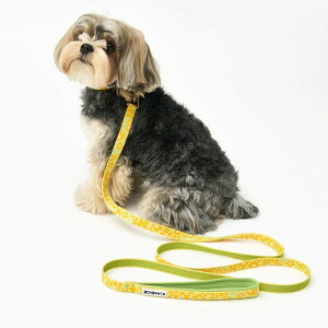 [yiCANDORzGentle Leash BoltiBIG FISH YELLOWj1.6m-15mm ؍ pi hbOObY [h U[h [h Upi UObY ^ ^