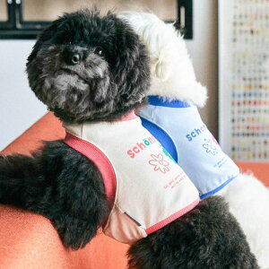 \̔ymunikundzOne Hole Crop (Pink Beige)  hbOEFA ̕ X[uX pi hbOObY ^ ^ t  H