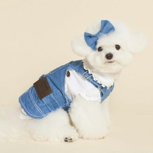 \̔ymeaninglesszGosomi Denim Dress pi hbOObY hbOEFA  ̕ ^ ^ hX ؍ t