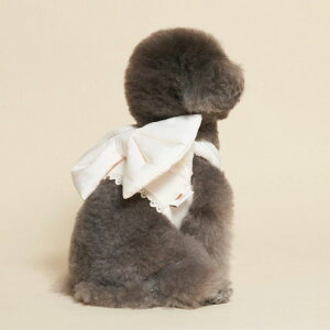 [ymeaninglesszRibbon Padding HarnessiIvoryj pi hbOObY hbOEFA  ̕ ^ ^ n[lX [h h