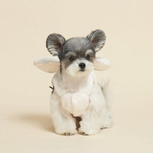 [ymeaninglesszRibbon Padding HarnessiIvoryj pi hbOObY hbOEFA  ̕ ^ ^ n[lX [h h