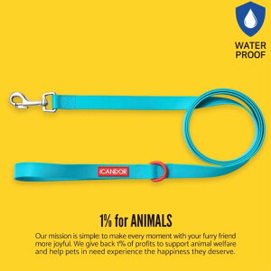 [yiCANDORzCAPRI WATERPROOF LEASHiMintj ؍ pi hbOObY [h U[h ̃[h p[h j [ [h