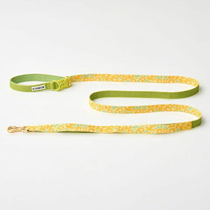 [yiCANDORzGentle Leash BoltiBIG FISH YELLOWj ؍ pi hbOObY [h Upi U[h p[h ^ ^ }i[|[`