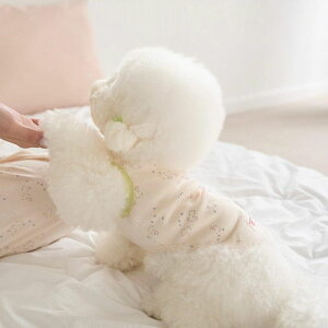 [ynouttizGood Night Rabbit SleevelessiIvoryj  hbOEFA ̕ X[uX pi hbOObY ؍ ^ ^ t