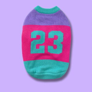 \̔yTOOFzSPORTY VARSITY SWEATERiPINK/PURPLE/TURQUOISEj AJ ؍ pi hbOObY TVc X[uX hbOEFA  ̕ ^