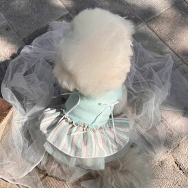 ※予約販売【Hi Yeboo】Vivi Tutu Sleeveless（Mint） 犬服 ドッグウェア 犬の服 小型犬 小型犬服 犬用品 ドッググッズ スリーブレス 春 夏
