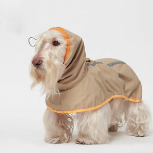 [ymunikundzGold Kiwi Rain Coat ؍ uh 킢  v[g ^  n[lX [h ̎q CR[g UObY NEW ^ t 