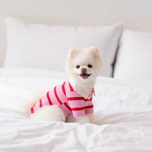 \̔ynouttizMERCI STRIPE T-SHIRTiPinkj  hbOEFA ̕ ^ ^ TVc X[uX t t pi