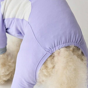 \̔yiCANDORzOCEAN SUITiLAVENDERj  hbOEFA ̕ ؍ pi hbOObY ^ ^ ^ ^ ^