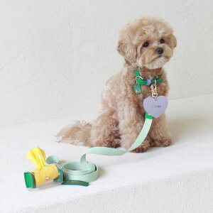 \̔ymaison de miuzPet Collar (Green / Violet) ؍ uh 킢  v[g ^  ^I NEW t 