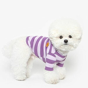 [yTUSTUSzCRAYON STRIPE TEEiVIOLETj  hbOEFA ̕ TVc X[uX pi hbOObY ؍ ^ ^