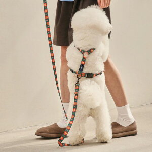 \̔yandblankzFLOWER LION HARNESS ؍ uh 킢  v[g ^  n[lX [h UObY NEW ^ t  v ^