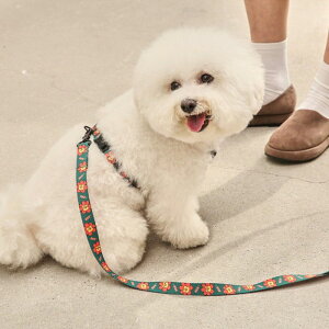 \̔yandblankzFLOWER LION HARNESS ؍ uh 킢  v[g ^  n[lX [h UObY NEW ^ t  v ^