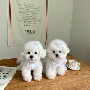 \̔yHi YeboozComo Collection White(Nbv/p[X) pi hbOObY hbOEFA  ̕ ^ ^ t  t