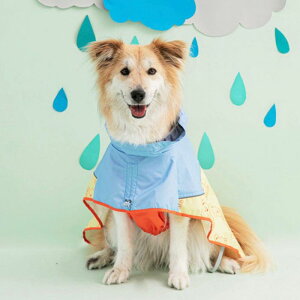 \̔yBITE MEzNew easy-peasy raincoat Large dog (Puppy) ؍ uh 킢  v[g ^  n[lX CR[g UObY |` NEW o ֗ ^ 