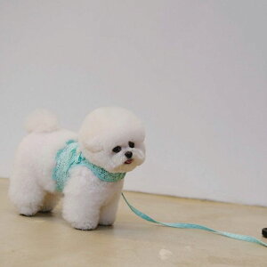 \̔yBeBe Breathzjuice harnessiMintj ؍ uh 킢  v[g ^ n[lX [h UObY NEW t  H ~ v 