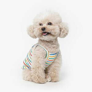 \̔yTUSTUSzrainbow top  hbOEFA ̕ X[uX pi hbOObY ؍ ^ ^ t