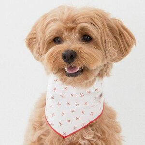 \̔yforeverybarizRibbon Scarf pi hbOObY hbOEFA  ̕ ^ ^ ؍ { XJ[t