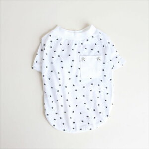 [yZOOBICOzX^[X^bYTVcizCg×ubNj ؍ uh 킢  v[g ^ NEW t  H