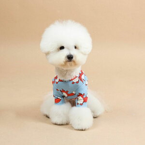 [yandblankzCaptain Fox T-shirt  hbOEFA ̕ ^ ^ ^ ^ ^ ^ TVc