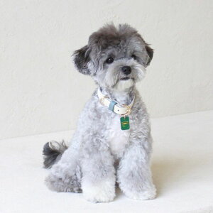 ���[�ymaison de miu�zPet Collar (White / Indian Blue) ���p�i �h�b�O�O�b�Y ��� ���̎�� �h�b�O�J���[ ����� ���p��� ���v ���� �_�炩��