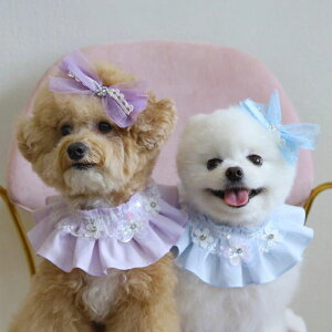 [yPets&MezTwinkle Pleats Scarf - 2color  hbOEFA ؍ pi hbOObY XJ[t t[`[t v[c [X XpR[